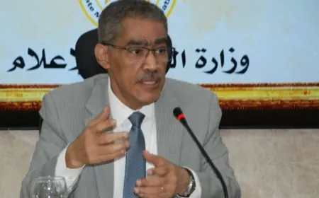 ضياء رشوان يؤكد: وزارة الدولة للإعلام تلتزم بضمان حرية التعبير والصحافة وتطبيق الدستور بالكامل