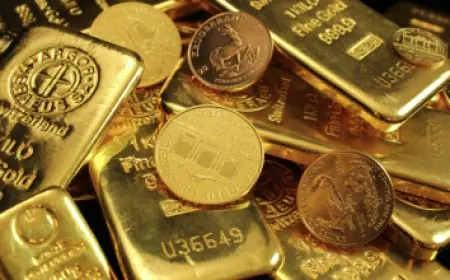 المالية تخصص 47.5 مليار جنيه للعلاج على نفقة الدولة والتأمين الصحي في موازنة 2026-2027