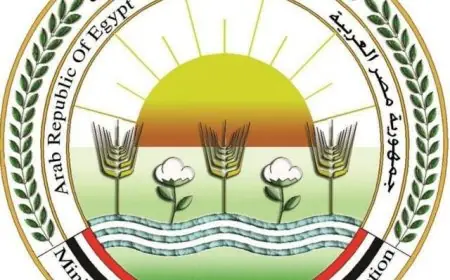 وزارة الزراعة تسلط الضوء على إنجازاتها الأخيرة في دعم المزارعين وتعزيز الأمن الغذائي