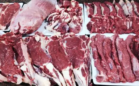 مجاتا الزراعة تكشف عن ذبح 7681 أضحية بالمجازر الحكومية لخدمة المواطنين