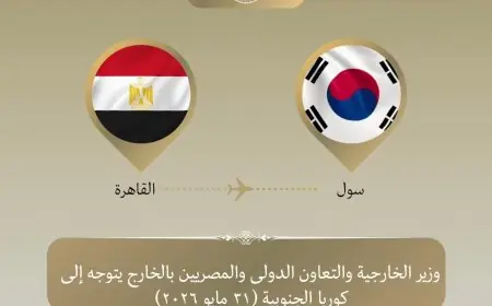 وزير الخارجية يزور سول لحضور الاجتماع الوزاري بين كوريا وأفريقيا