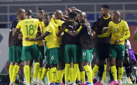 أزمة تأشيرات تؤجل سفر منتخب جنوب إفريقيا إلى المونديال