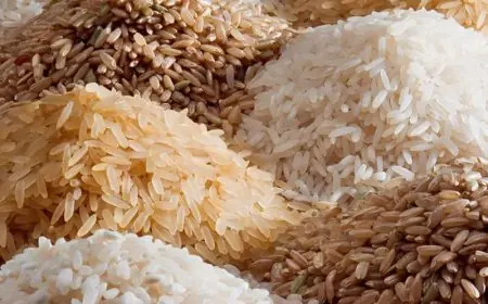 أسعار الأرز: تعرف على أحدث سعر لطن الشعير والأرز الأبيض في مصر اليوم الأحد 31 مايو 2026