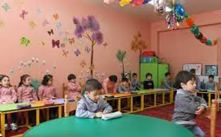 كيفية التقديم الإلكتروني لرياض الأطفال بالمدارس الرسمية في القاهرة التفاصيل الكاملة