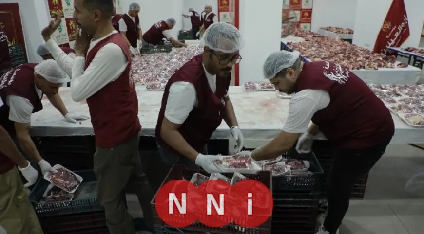 مؤسسة أبو العينين توزع لحوم الأضاحي في المحافظات بمساعدة 500 متطوع وذبح 1200 رأس تحت التحالف الوطني