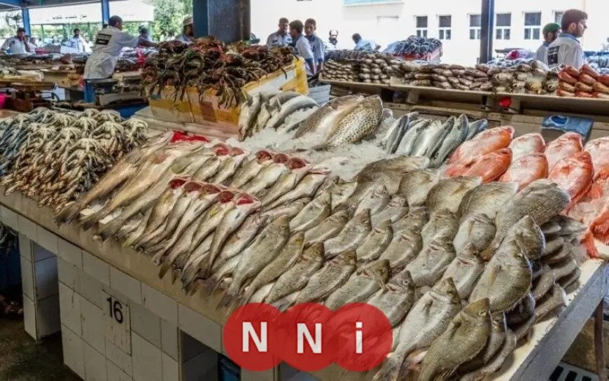 تعرف على أسعار الأسماك والمأكولات البحرية اليوم الجمعة هل شهدت انخفاضًا في عيد الأضحى