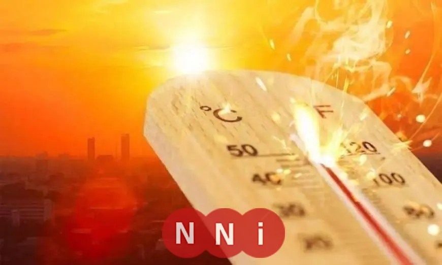 الأرصاد توضح توقعات طقس السبت: زيادة في الحرارة ونصائح للوقاية من الشبورة والأتربة