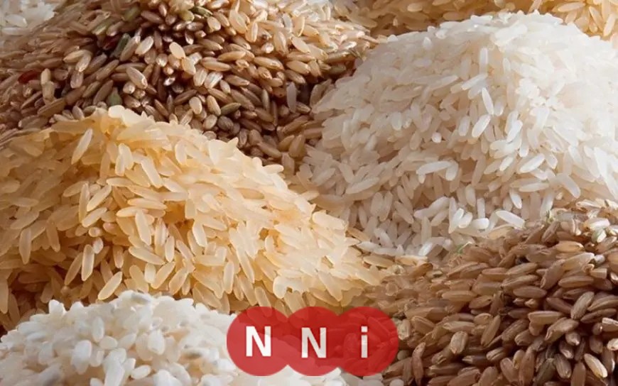 أسعار الأرز: تعرف على أحدث سعر لطن الشعير والأرز الأبيض في مصر اليوم الأحد 31 مايو 2026