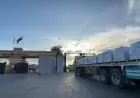 الهلال الأحمر المصري يطلق قافلة زاد العزة 205 لدعم أهالي غزة
