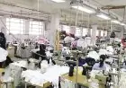 سر تصميم المكرميات المصرية وقصة نجاحها العالمية