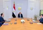 السيسي يشدد على اكتمال الجاهزية الفنية والإدارية لجميع المنشآت الطبية قبل افتتاحها