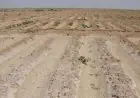 وزارة الإسكان تكشف عن طرح أراضٍ استثمارية جديدة في 4 مدن جديدة التفاصيل الكاملة