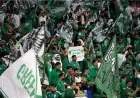 دعم كبير للمنتخب السعودي في المونديال بألف تذكرة لكل مباراة و70 مشجعًا ملهمًا