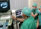 التقنيات الحديثة في علاج السرطان باستخدام العلاج الجيني دون تأثير على الخلايا السليمة