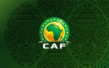 الكاف يضم شاهندا المغربي ويارا عاطف إلى قائمة حكمات معسكر إعداد أمم أفريقيا للسيدات