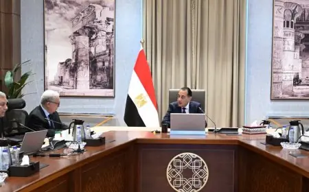 رئيس الوزراء يكشف عن استراتيجية جديدة لتطوير أداء الشركة القابضة للأدوية والشركات التابعة لها