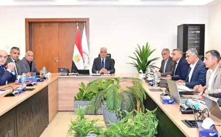 الري تعلن صيانة 87 محطة خلط وصيانة محطتي المطرية الجديدة والقديمة لتحسين الخدمات