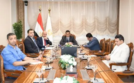 وزير الرياضة يبحث مع شركة دافينج الصينية سبل التعاون وتوطين الصناعة الرياضية