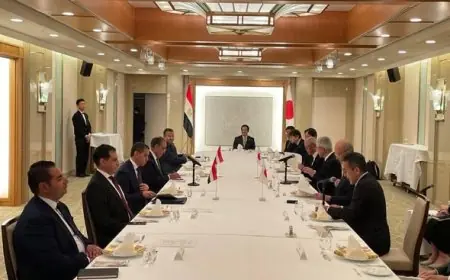وزير الخارجية يعزز العلاقات الاقتصادية بلقاء مجلس الأعمال المصري الياباني