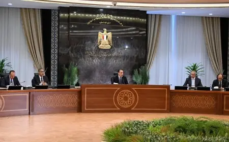 مدبولي: صيف 2026 استثنائي في استهلاك الكهرباء بسبب تزامنه مع ارتفاع أسعار الغاز والبترول، وتحدٍ كبير يلوح في الأفق