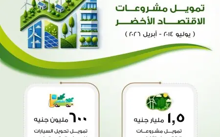 1.5 مليار جنيه لدعم المشروعات البيئية و600 مليون لتحويل السيارات للغاز الطبيعي من تنمية المشروعات