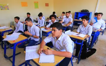 اكتشف نتيجة الصف السادس الابتدائي 2026 في الجيزة باستخدام رقمك القومي خلال ساعات
