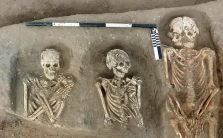 اكتشاف أثري مذهل في تل كوم عزيزة العثور على جبانة نادرة من العصر اليوناني الروماني