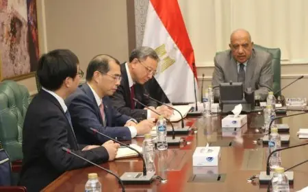 وزير الكهرباء يناقش تعزيز دمج الطاقة المتجددة وتطوير الشبكة القومية مع كبرى الشركات الصينية