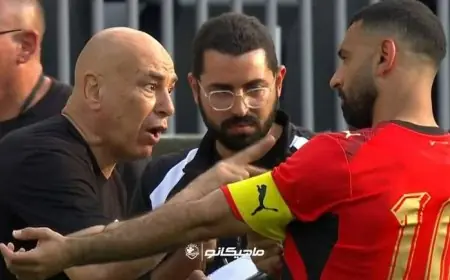 اكتشف فوائد مباراة مصر ضد البرازيل قبل كأس العالم 2026