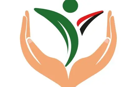 سلامة الغذاء: تصدير 285 ألف طن من الأغذية والموالح والبصل يتصدران قائمة الخضروات والفاكهة