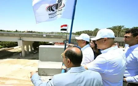 كل ما تريد معرفته عن جولة مدبولي في مشروع محور اللواء عمر سليمان بالإسكندرية