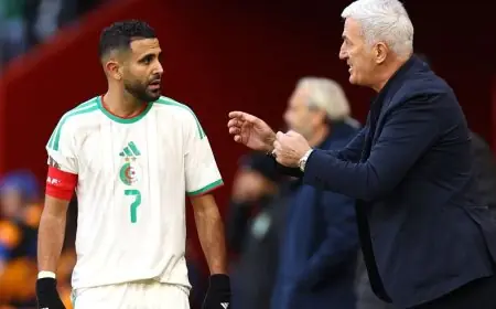 الجزائر: تمديد عقد المدرب بيتكوفيتش حتى عام 2028 يعزز آمال المنتخب