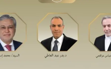 وزير الخارجية يناقش تطورات المفاوضات الأمريكية الإيرانية مع نظرائه من باكستان وإيران