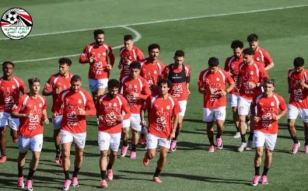 محمد بركات يؤكد أهمية تعزيز الدفاع المصري في مواجهة بلجيكا