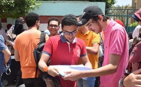 4 خطوات لاستلام نتيجة سنوات النقل 2026 بالجيزة بسهولة.. أدخل رقم جلوسك الآن