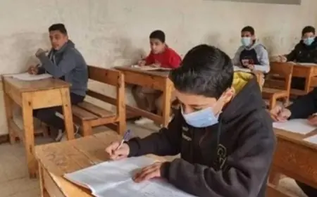 نتيجة الصف الثاني الإعدادي 2026 الترم الثاني في محافظة القاهرة برقم الجلوس