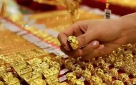التنظيم والإدارة يكشف عن موعد امتحان معلم مساعد علوم وكيفية الاستعلام عنه