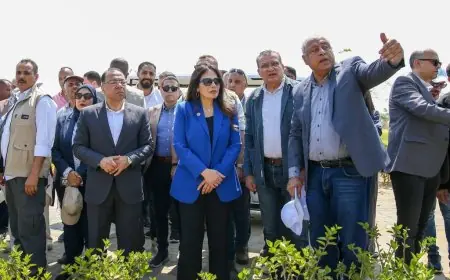 وزيرة الإسكان تتابع تقدم مشروع حدائق تلال الفسطاط وتلتقي بالخبراء والشركات المنفذة