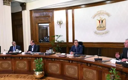 انهيار أسعار البترول إلى الصفر مدبولي يراجع تمويل احتياجات البلاد البترولية
