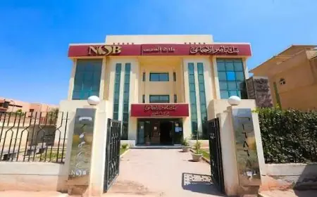 شروط وفئات مستفيدة: صرف المعاش مبكرًا من بنك ناصر الاجتماعي