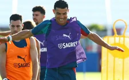تنبيه لرونالدو: تماسيح بالقرب من مقر إقامة منتخب البرتغال في كأس العالم