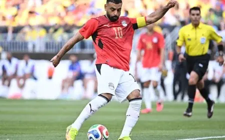 حجر رشيد ومراكب الشمس تضيء سياتل في احتفال مميز بعيد ميلاد الملك المصري