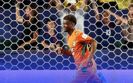 كوت ديفوار تحقق فوزًا قاتلاً على الإكوادور في بداية مشوارها في كأس العالم