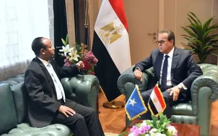 وزير الصحة يعزز التعاون الصحي مع نظيره الصومالي لتبادل الخبرات في المجالات الطبية