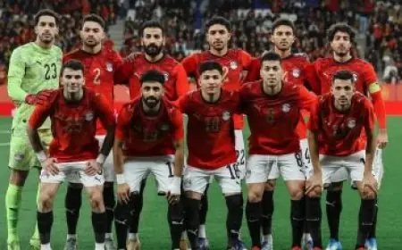 تحقيق عاجل من جامعة الإسكندرية بشأن انتهاكات قسم النساء والتوليد بمستشفى الشاطبي