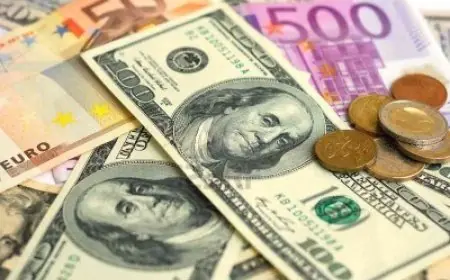 تحديث أسعار العملات الأجنبية والعربية اليوم: انخفاض الدولار أمام الجنيه في البنوك