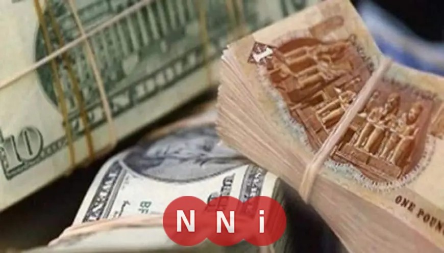 قفزة في سعر الدولار مقابل الجنيه منتصف تعاملات الثلاثاء في بعض البنوك