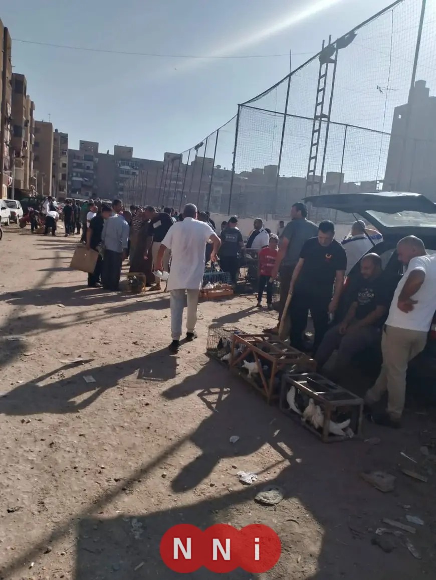 محافظ الدقهلية يقود حملة كبرى لنقل سوق الحمام إلى حي غرب المنصورة
