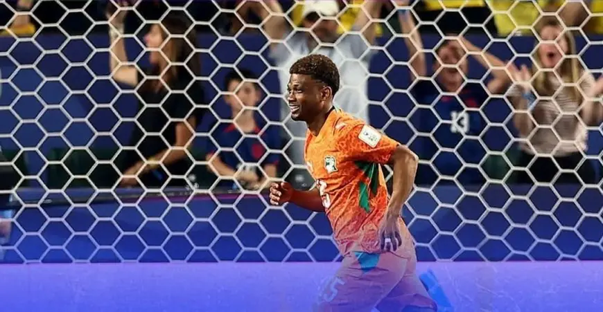 كوت ديفوار تحقق فوزًا قاتلاً على الإكوادور في بداية مشوارها في كأس العالم