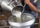 اشرب لبن الجاموسة أو البقرة نصيحة هامة من مجدي نزيه للوالدين حول تغذية الطفل في أول 6 شهور